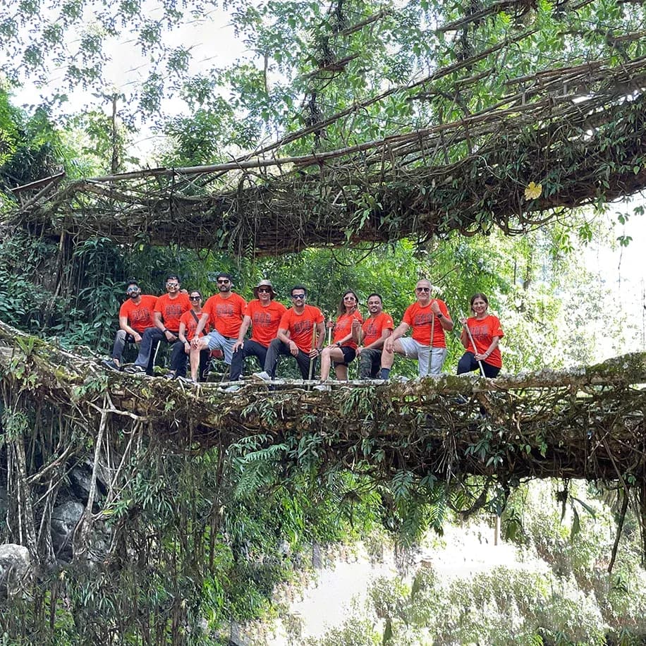  Double-decker root bridge